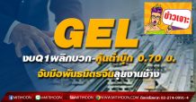 GEL งบQ1พลิกบวก-หุ้นต่ำบุ๊ก 0.70 บ. จับมือพันธมิตรจีนลุยงานช้าง