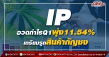 IP อวดกำไรQ1พุ่ง11.54% เตรียมรุกสินค้ากัญชง