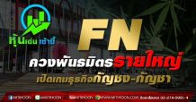 FNควงพันธมิตรรายใหญ่ เปิดเกมธุรกิจกัญชง-กัญชา