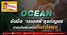 OCEAN จับมือ ‘เจเอสพี’ลุยกัญชง  ปาล์มโลกยืนหนึ่งดันกำไรพุ่ง