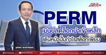 PERM  เมินปลดล็อกนำเข้าเหล็ก  เดินหน้าปั๊มกำไรสต็อกเพียบ  (11/06/64)