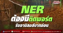 NER ต้องมีติดพอร์ต รับอานิสงส์บาทอ่อน
