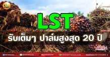 เด็กแนว (เช้า) LST: รับเต็มๆ ปาล์มสูงสุด 20 ปี (30/07/64)