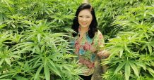 นางฟ้ากัญชา ดัน “CANNABIZ WAY” สู่ธุรกิจกัญชงเพื่อเศรษฐกิจเต็มรูปแบบ