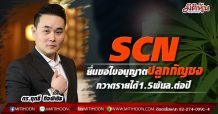 SCN ยื่นขอใบอนุญาตปลูกกัญชง-กวาดรายได้1.5พันล.ต่อปี