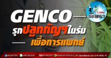 เด็กแนว (บ่าย)  >> GENCO: รุกปลูกกัญฯ ในร่มเพื่อการแพทย์