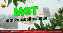 เด็กแนว (เช้า) –  MGT: จับตาร่วมพันธมิตรกัญชง