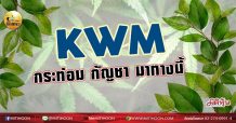 เด็กแนว (เช้า) KWM : กระท่อม กัญชา มาทางนี้ (30/08/64)