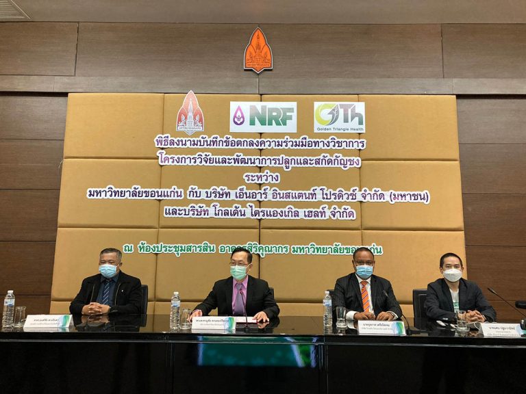 NRF – GTH ผนึกกำลัง มข. สู่การเป็นเจ้าแรกปลูกกัญชงของประเทศ บนพื้นที่กว่า 400 ไร่