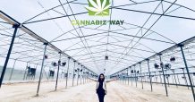 “นางฟ้ากัญชา” อวดโฉมแรก “CBD Agro-Tech Center”  โรงปลูกกัญชา-กัญชงของ “แคนนาบิซ เวย์” บนเนื้อที่กว่า 36 ไร่