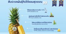 เจาะกลยุทธ์ R&D สับปะรดพันธุ์ “ทิปโก้หอมสุวรรณ” หัวหอกความสำเร็จ  Fruit Business ของทิปโก้ กับโอกาสส่งออกสินค้าเกษตรไทยในยุคโควิด-19