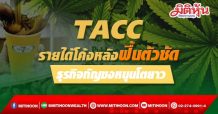 TACC รายได้ครึ่งปีหลังฟื้นตัวชัด ธุรกิจกัญชงหนุนเติบโตยาว