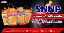 SNNP ยอดขายCLMVสุดปัง ดันกำไรโค้งหลังทะยาน (01/10/64)
