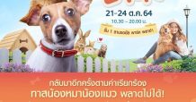 พาราไดซ์ พาร์ค จัดงาน Paradise Park Pet Lovers ดึงซุปตาร์สุนัขแสนรู้ “น้องลิ้นจี่” แมวเซเลบสุดฮอต “มคิทาร์ยาน” ร่วมโชว์ความน่ารัก