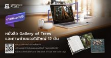 เกียรตินาคินภัทร เดินหน้าภารกิจสีเขียว มอบหนังสือ ‘Gallery of Trees’ ห้องแสดงความงามแห่งมวลไม้ใหญ่