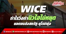WICE กำไรวิ่งทำนิวไฮไม่หยุด ยอดขนส่งสหรัฐ-ยุโรปพุ่ง