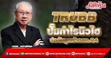 TRUBB  ราคายางเทรนด์ขาขึ้น  ปั๊มกำไรนิวไฮแรง! (11/10/64)