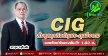 CIG สั่งลุยธุรกิจกัญชง-ถุงมือยาง งบพลิกกำไรแรงดันเป้า 1.50บ.