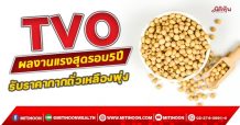 TVO  ผลงานแรงสุดรอบ 5 ปี  รับราคากากถั่วเหลืองพุ่ง (16/11/64)