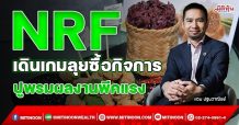 NRF เดินเกมลุยซื้อกิจการ ปูพรมผลงานพีคแรง (25/11/64)