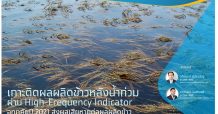 เกาะติดผลผลิตข้าวหลังน้ำท่วม ผ่าน High-Frequency Indicator