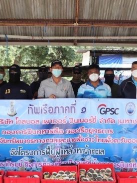 กลุ่มจีพีเอสซี จับมือทัพเรือภาคที่ 1 และ ศวทอ. นำร่องปลูกหญ้าทะเลหาดนภาธาราภิรมย์ฟื้นคืนระบบนิเวศใต้น้ำ