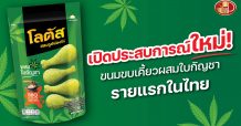 SNNP จุดพลุ!บุกตลาด“ ขนมขบเคี้ยวผสมใบกัญชา” รายแรกของไทย