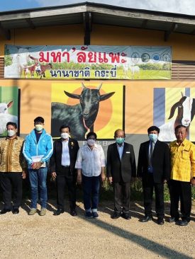 “คุณหญิงกัลยา” หนุนเลี้ยงแพะ จับมือสภาการศึกษาจังหวัดกระบี่ วางรากฐานหลักสูตรเลี้ยงแพะ ส่งเสริมอาชีพวิสาหกิจชุมชน สู่การส่งออก