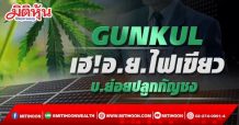 GUNKUL เฮ!อ.ย.ไฟเขียว บ.ย่อยปลูกกัญชง