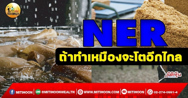 เด็กแนว (เช้า) NER : ถ้าทำเหมืองจะโตอีกไกล  (20/12/64)