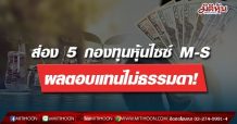 ส่อง 5 กองทุนหุ้นไซซ์ M-S ผลตอบแทนไม่ธรรมดา!