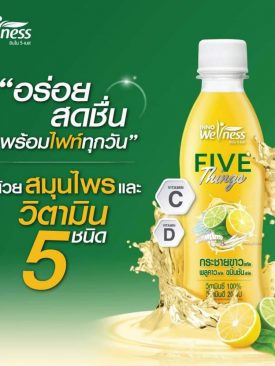 ‘FIVE-Things’ พร้อมไฟท์! น้ำสมุนไพรผสมวิตามิน 5 ชนิด สดชื่น ดื่มง่าย ต้านไวรัส-เสริมภูมิคุ้มกัน