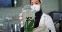 “GTG Café” คาเฟ่กัญชาแห่งใหม่ภายใน ม.ราชภัฏเชียงราย