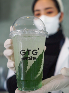 “GTG Café” คาเฟ่กัญชาแห่งใหม่ภายใน ม.ราชภัฏเชียงราย
