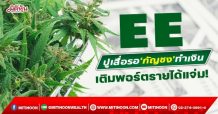 EE  ปูเสื่อรอ‘กัญชง’ทำเงิน  เติมพอร์ตรายได้แจ่ม! (14/01/65)