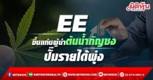 ‘EE’ ขึ้นแท่นผู้นำต้นน้ำกัญชง-ปั๊มรายได้พุ่ง