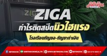 ZIGA กำไรติดสปีดนิวไฮแรง โรงเรือนกัญชง-กัญชาทำเงิน