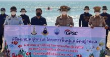 กลุ่มจีพีเอสซี ผนึกกำลังทัพเรือภาคที่ 1 และศวทอ. มอบหญ้าทะเล สานต่อโครงการฟื้นฟูแหล่งหญ้าทะเล