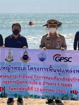 กลุ่มจีพีเอสซี ผนึกกำลังทัพเรือภาคที่ 1 และศวทอ. มอบหญ้าทะเล สานต่อโครงการฟื้นฟูแหล่งหญ้าทะเล