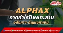 ALPHAX คาดกำไรปี65ทะยาน อสังหาฯ-กัญชงทำเงิน