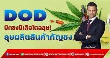 DOD  ปักธงปีเสือโตฉลุย!  ลุยผลิตสินค้ากัญชง (12/01/65)