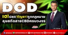 DOD เฮ!ปลด’กัญชา’ถูกกฎหมาย ลุยสกัดสารCBDครบวงจร (24/01/65)