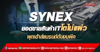 SYNEX ยอดขายสินค้าITโตไม่แผ่ว ผุดเฮ้าส์แบรนด์ดันงบพีค