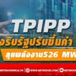 TPIPP