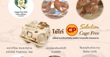 ซีพีเอฟ เดินหน้ายกระดับมาตรฐานสวัสดิภาพสัตว์ ผลิตไข่ไก่ Cage Free เพิ่มเป็น 20 ล้านฟอง ในปี 65