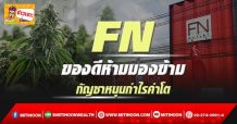 FN ของดีห้ามมองข้าม กัญชาหนุนกำไรคำโต