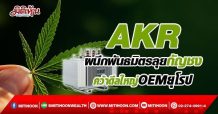 AKR ผนึกพันธมิตรลุยกัญชง  คว้าดีลใหญ่ OEM ยุโรป (29/03/65)