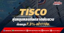 TISCO หุ้นหลุมหลบภัยตลาดผันผวน ปันผลสูง7.3%-เป้า110บ.