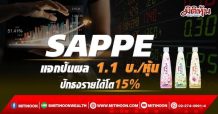 SAPPE แจกปันผล 1.1 บ./หุ้น ปักธงรายได้โต15%