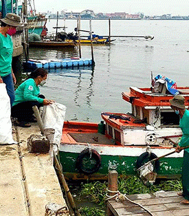 12 เม.ย. วันป่าชุมชนชายเลนไทย CPF หนุนชุมชนร่วมดูแลป่าชายเลน รักษาสมดุลระบบนิเวศทางทะเล สร้างแหล่งอาหารที่ยั่งยืน